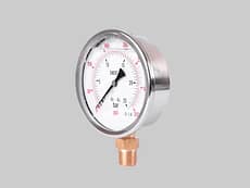 Manómetros de Inoxidable Interior bronce