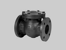 Válvula retención a clapeta Hierro