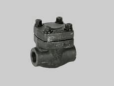 Válvula de retención ASTM A105N Serie 800 tipo pistón