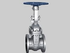 Válvula esclusa Acero al carbono vástago ascendente