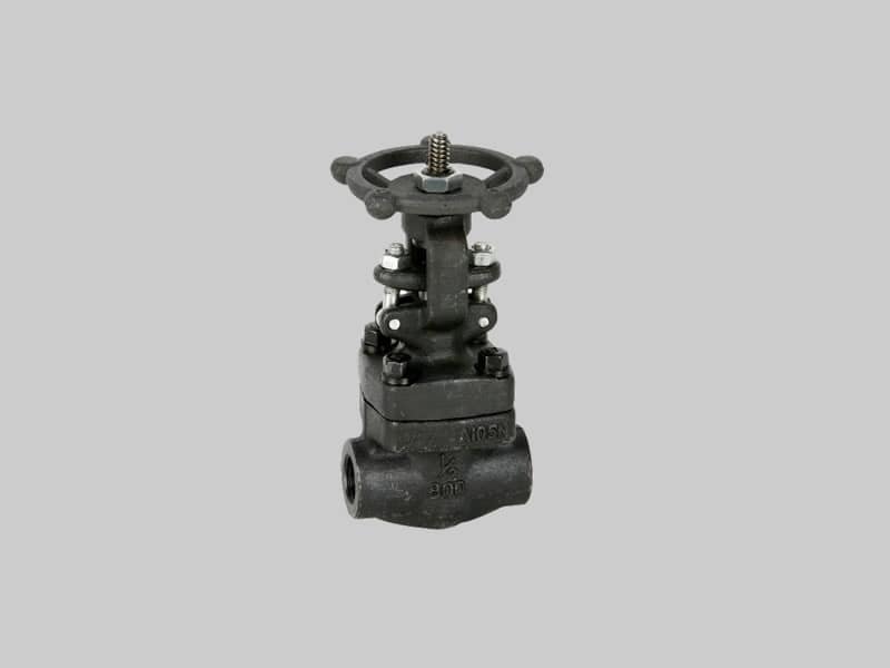 Válvula esclusa ASTM A105N Serie 800 SW