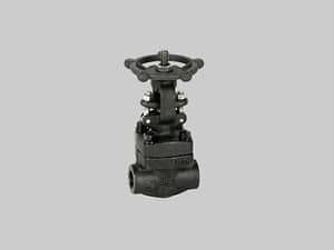 Válvula esclusa ASTM A105N Serie 800 NPT