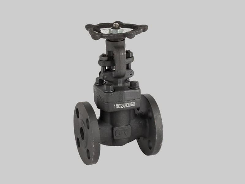 Válvula esclusa ASTM A105N Serie 800 Conexión Bridada