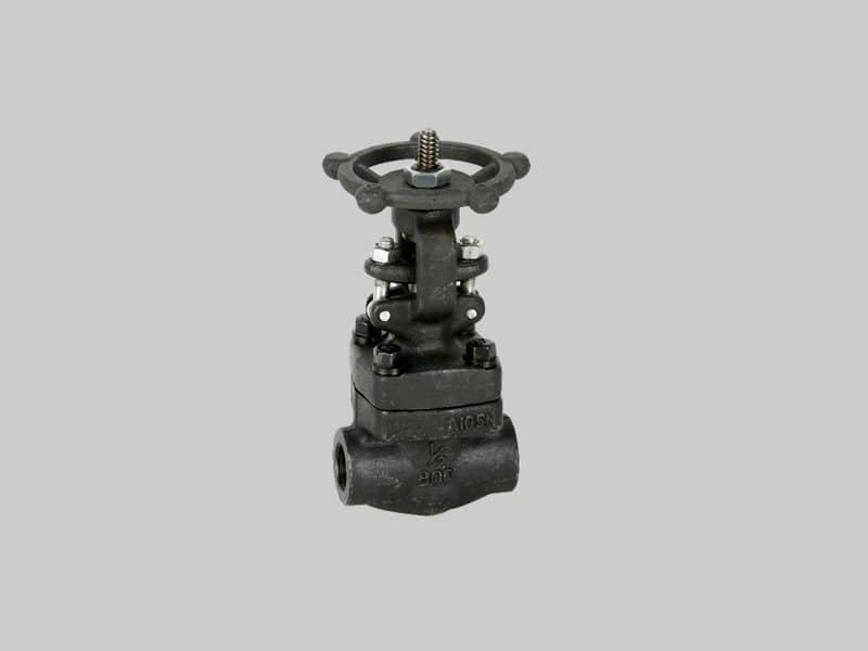 Válvula esclusa ASTM A105N Serie 800 NPT