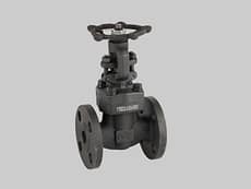 Válvula esclusa ASTM A105N Serie 800 Conexión Bridada