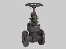 Válvula globo ASTM A105N Serie 800 Conexión Bridada