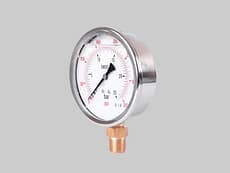 Manómetros de Inoxidable Interior bronce