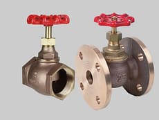 Válvula globo bronce