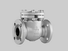 Válvula retención a clapeta Acero al carbono