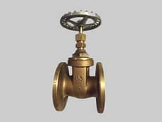 Válvula Esclusa Bronce Bridada APTA 200L
