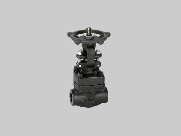 Válvula esclusa ASTM A105N Serie 800 NPT